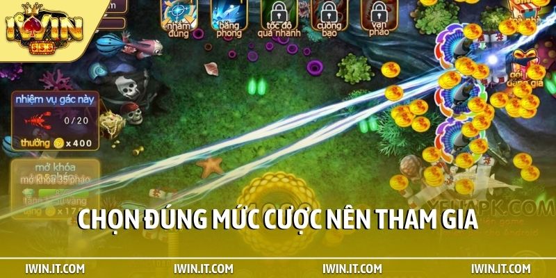 Chọn đúng mức cược nên tham gia