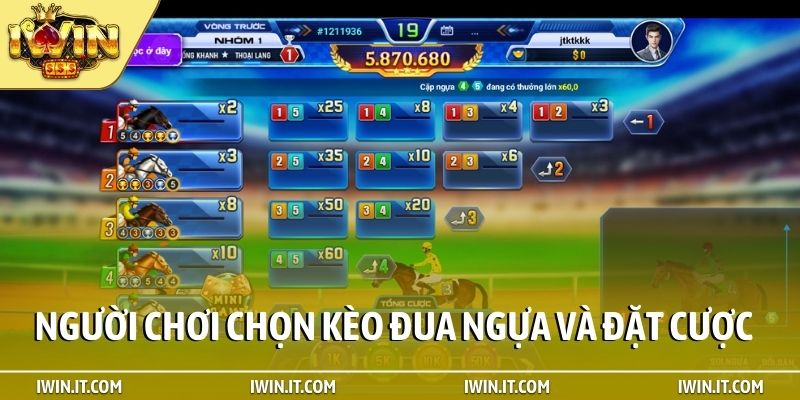 Người chơi chọn kèo đua ngựa và đặt cược